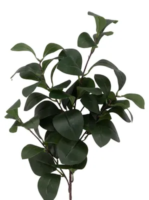 Produktbild von Clayre & Eef Kunstblume Grün Kunststoff