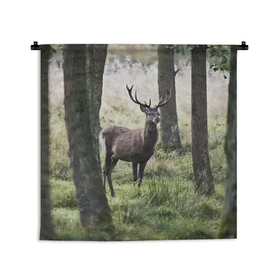 Produktbild von MuchoWow® Wandteppich Wandbehang Hirsche - Bäume - Gras 60x60 cm Tapisserie Dekoration Wandtuch - Dekorationen - Wand Decke