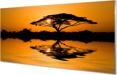 Produktbild von Glasbilder 100x50 Wandkunst Sunset Baum
