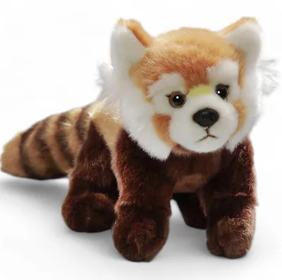 Produktbild von Carl Dick Roter Panda, Katzenbär ca. 24cm, ca. 37cm mit Schwanz 2211 Kuscheltier, Plüschtier, Stofftier