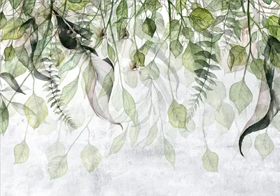 Produktbild von Vlies Fototapete Natur 450x315 cm Tapeten Wandtapete XXL Botanik Efeu Pflanzen Blätter weiß grün b-C-0873-a-a
