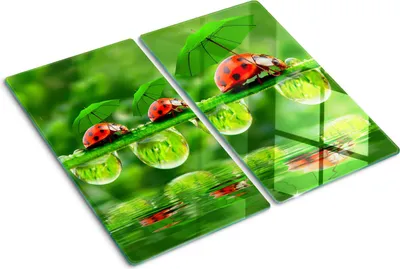 Obrázek produktu pro Kryt varné desky – Kryt na indukční desku – Ochranná skleněná deska – 2x30x52 cm– Skleněné ochranné desky na sporák –Tvrzené sklo –Slunéčko sedmitečné