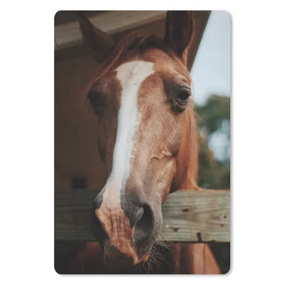 Produktbild von MuchoWow® Mauspad Mousepad Pferde - Pferdestall - Zaun 18x27 cm - Mousepads - Maus Mat - Pad - Mausunterlage