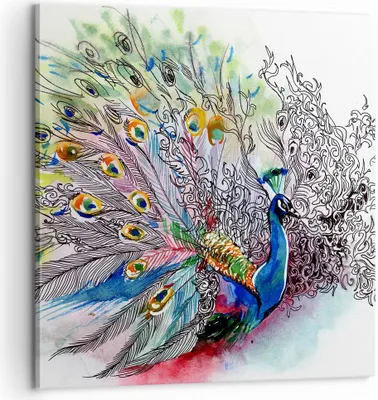 Produktbild von Bild auf Leinwand - Leinwandbild - Pfau Feder Farbe - 60x60cm - Wand Bild - Wanddeko - Wandbilder - Leinwanddruck - Bilder - Kunstdruck - Wanddekoration - Leinwand bilder - Wandkunst - AC60x60-3556