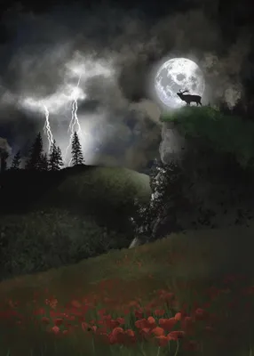 A5 Grußkarten Vollmond Buck Moon, 3er-Pack