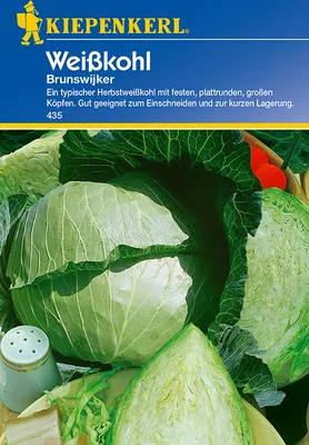 Produktbild von [STREICHUNG 2025] Weißkohl Brunswijker | Weißkohlsamen von Kiepenkerl