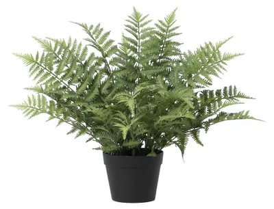 Zdjęcie produktu dla Sztuczna paproc miodowa (Nephrolepis exaltata) 59cm w doniczce - realistyczna