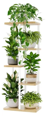 Imagen del producto de Soporte para plantas de metal de 5 niveles, apto para interiores y exteriores