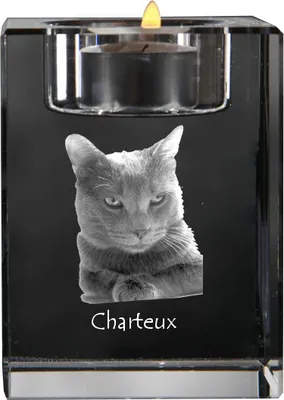 Obrázok produktu pre Chartreux - Sviečka s fotografiou mačky, krištáľový svietnik, personalizovaný darček od značky Art-Dog