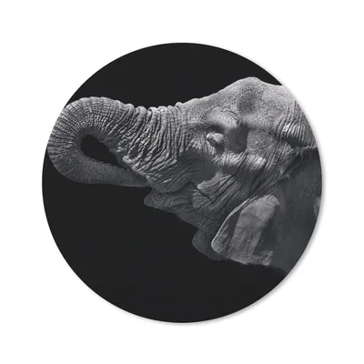 Produktbild von MuchoWow® Mauspad Mousepad Elefant - Tiere - Schwarz - Natur 20x20 cm - Mousepads - Maus Mat - Pad - Mausunterlage - Schreibtischmatte