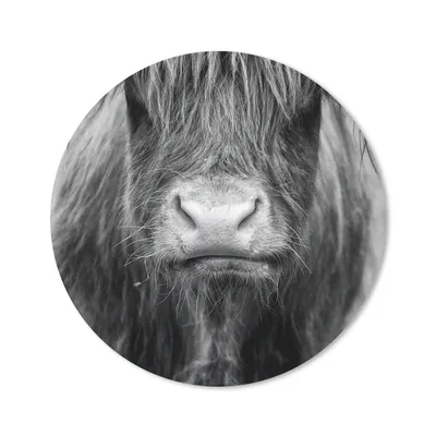 Produktbild von MuchoWow® Mauspad Mousepad Schottischer Highlander - Kuh - Schwarz - Weiß - Tiere 50x50 cm - Mousepads - Maus Mat - Pad - Mausunterlage - Vinyl