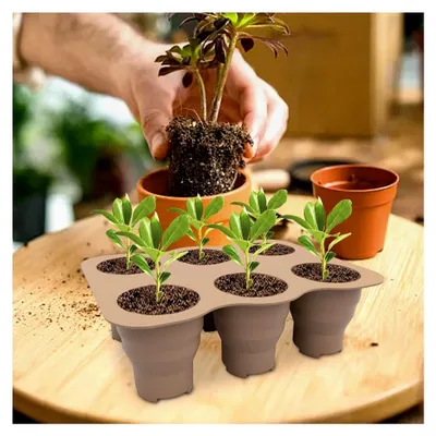 Produktbild von Silikon-Tabletts – zusammenklappbare Keimung mit sechs Fächern, Startertöpfe mit Ablauflöchern zur Unterstützung des Wachstums | Starter-Set für den Garten