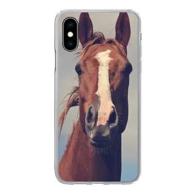 Produktbild von MuchoWow® Handyhülle Schutzhülle Hülle für iPhone X Pferd - Wolken - Porträt Silikon Softcase Handy Hülle - Handyhülle