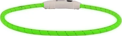 Produktbild von Flamingo Halsband LED Visio Light Nylon reflektierend grün