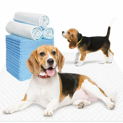 Produktbild von 50 Stück Trainingsunterlagen 45 x 60 cm für Hunde Welpen Katzen Welpenunterlagen Hygieneunterlagen für Haustiere Trainingspads Einweg 5-lagig