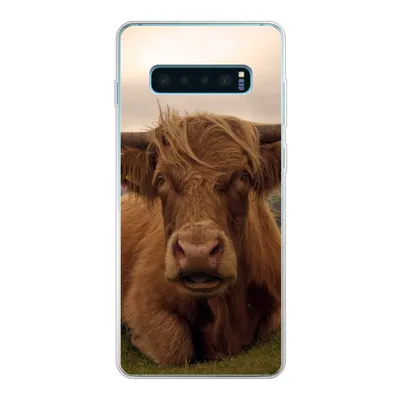 Produktbild von MuchoWow® Handyhülle Schutzhülle Hülle für Samsung Galaxy S10 Plus Schottischer Highlander - Tiere - Berg Silikon Softcase Handy Hülle - Schutzhülle