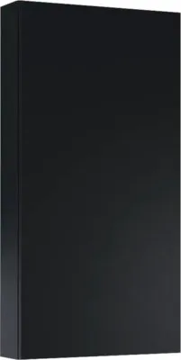 Produktbild von Jungborn Hängeschrank BxHxT 400 x 800 mm x 126 mm Frontfarbe schwarz matt