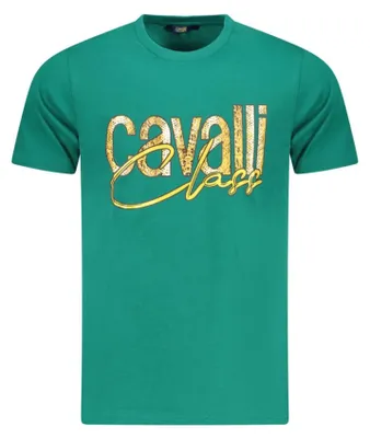 Produktbild von Elegantes Herren T-Shirt in Grün mit Rundhals und Logo-Print.