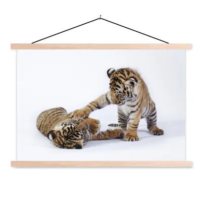 Produktbild von MuchoWow® Textilposter Tiger - Jungtier - Weiß 60x40 cm mit holzfarbenen Rahmen - Bilder