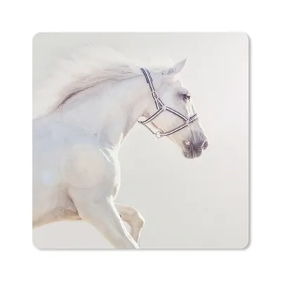 Produktbild von MuchoWow® Mauspad Mousepad Pferd - Weiß - Mähne 20x20 cm - Mousepads - Maus Mat - Pad - Mausunterlage - Desk Mat - Bureauartikeln