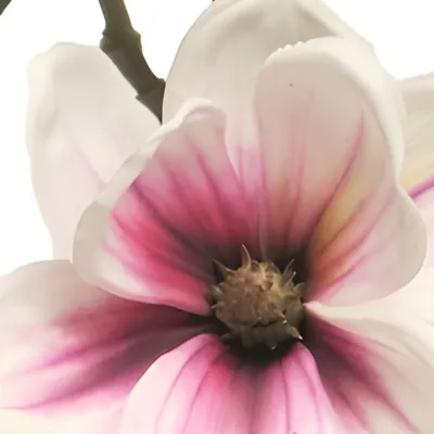 Produktbild von Warentuin Producten