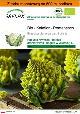 Zdjęcie produktu dla SAFLAX - Garden in the bag - Bio - Kalafior - Romanesco - 50 Nasiona - Z podłożem uprawowym w praktycznej, samorozkładającej się torbie - Brassica oleracea var. Botrytis