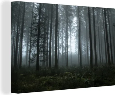 Produktbild von OneMillionCanvasses® - Leinwandbilder - 150x100 cm, Wald - Licht - Nebel, Wandbilder Kunstdruck Wanddekoration