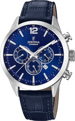 Obrázek produktu pro Pánské hodinky Festina F20542/2 Timeless