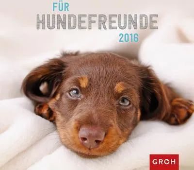 Produktbild von Für Hundefreunde 2016