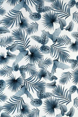 Obrázok produktu pre Samolepiaca fólia D-C-Fix Botanicals tmavosivá, biela 45x200 cm