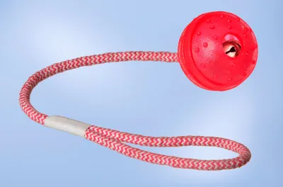 Produktbild von Hunde Spiel-Set