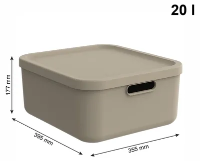 Produktbild von Aufbewahrungsbox Rotho Babydesign Multibox Kayo M, stapelbar, Kunststoff, rot