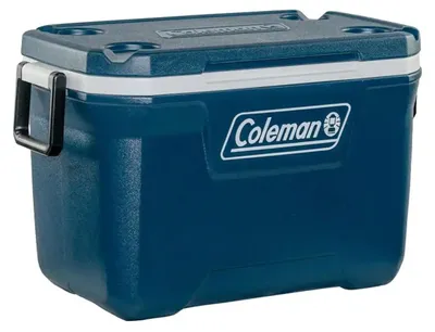 Produktbild von Campingaz Frozen Food Bag Gr. L, 26 l, Grau, Polyethylen, Reißverschluss, 1 Stück(e)