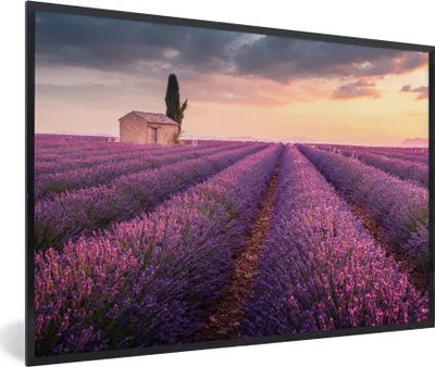 Produktbild von MuchoWow® Gerahmtes Poster Lavendel - Blumen - Lila - Feld 90x60 cm - Poster mit Schwarzem Bilderrahmen Wandposter Rahmen Foto Bilder - Fotorahmen - Foto-Plakat