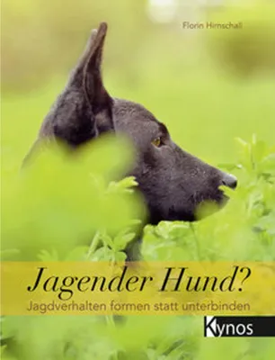 Produktbild von Jagender Hund?