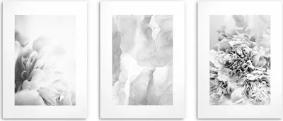 Produktbild von Boho Poster für die Wand im Schlafzimmer oder Wohnzimmer Delicate Flowers Marble 3x 50x70