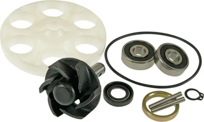 Produktbild von Motoforce Wasserpumpen-Reparaturset für Minarelli