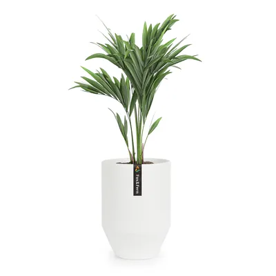 Produktbild von Fox & Fern Blumentopf mit Stopfen, Blumentopf Gross für Innen/Außen, Übertopf UV- & Frostbeständig, Polystone-Blumentöpfe Weiß, Blumentopf 25 cm Durchmesser, Großer Pflanzentopf für Zimmerpflanzen