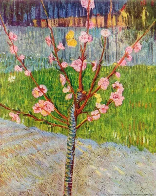 Obrázek produktu pro Vincent Van Gogh Art Print Obraz - Kvetoucí broskvoň, 1888 (50 x 40 cm)