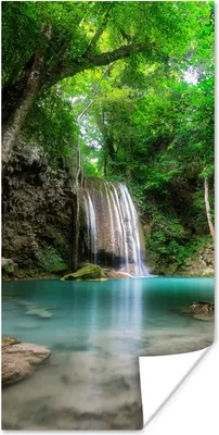 Produktbild von MuchoWow® Poster Dschungel - Wasserfall - Pflanzen - Wasser - Natur 60x120 cm - Wandschmuck