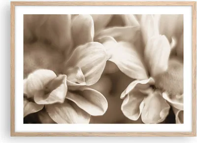 Produktbild von Gerahmtes Poster - Rahmen in heller Eiche - Blumen Boho ohne - 70x50 cm - Wand Bild - Wanddeko - Wandbilder - Kunstposter - Wandposter - Bilderrahmen - Bilder - Kunstdruck - P2NAA70x50-4767