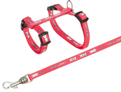 Produktbild von TRIXIE Geschirr mit Leine, kleine Kaninchen, Baby Bunny, 20–33 cm / 8 mm, 1,25 m