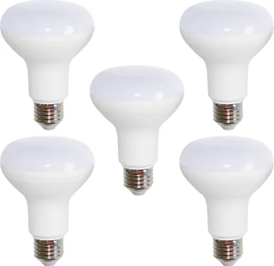 Produktbild von 5 x LED Leuchtmittel Reflektor R80 8W = 60W E27 matt warmweiß 2700K flood 120°
