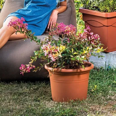 Immagine prodotto di DEROMA Vaso rotondo per piante, terracotta, 25 cm