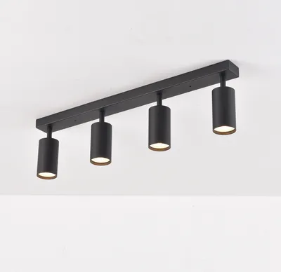 Produktbild von LED 4-flammig schwenkbare Deckenleuchte | Deckenspots schwarz