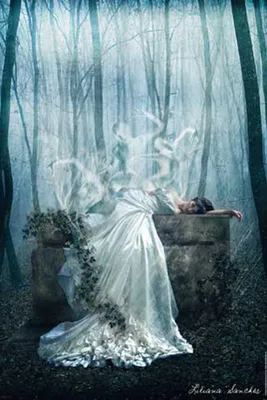 Produktbild von Sanches, Liliana - Poster - Her Demise + 1 Ü-Poster der Grösse 61x91,5cm