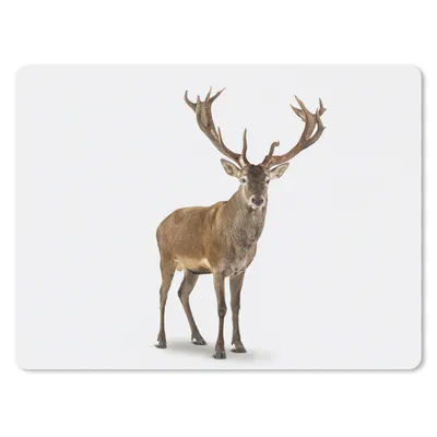 Produktbild von MuchoWow® Mauspad Mousepad Hirsche - Tiere - Weiß - Junge - Mädchen - Kinder 23x19 cm - Mousepads - Maus Mat - Pad - Mausunterlage - Schreibtischunterlage - Mauspad