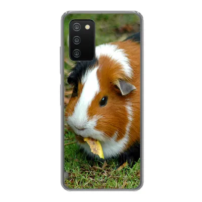 Produktbild von MuchoWow® Handyhülle Schutzhülle Hülle für Samsung Galaxy A03s Meerschweinchen draußen Silikon Softcase Handy Hülle - Schutz