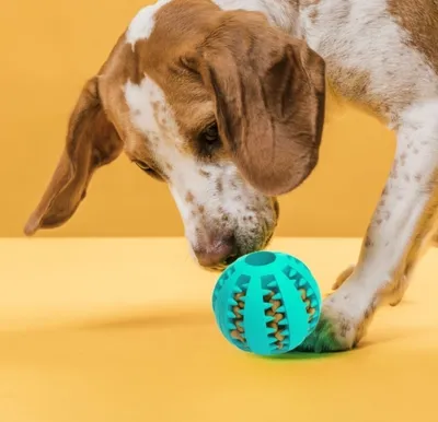 Produktbild von Kauspielzeug für Hunde