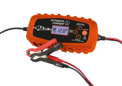 Image de Chargeur automatique de batterie - L